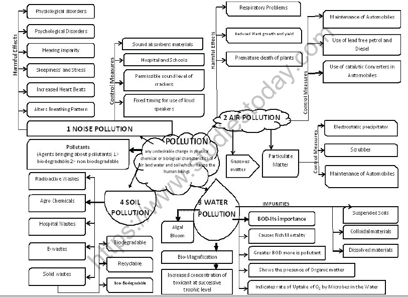 Quick Revision Chapterwise Mind-Maps class 12 Biology